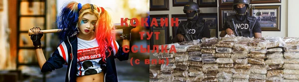 тгк Наволоки