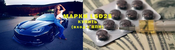 прущие грибы Михайлов