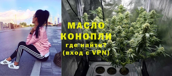 хмурый Белая Холуница