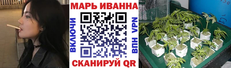 где купить   Жигулёвск  Шишки марихуана семена 